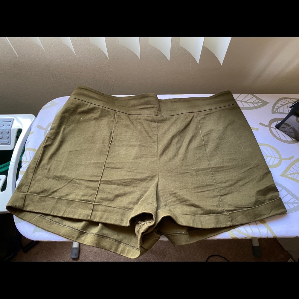 Pinup Girl Clothing high waisted shorts 3X